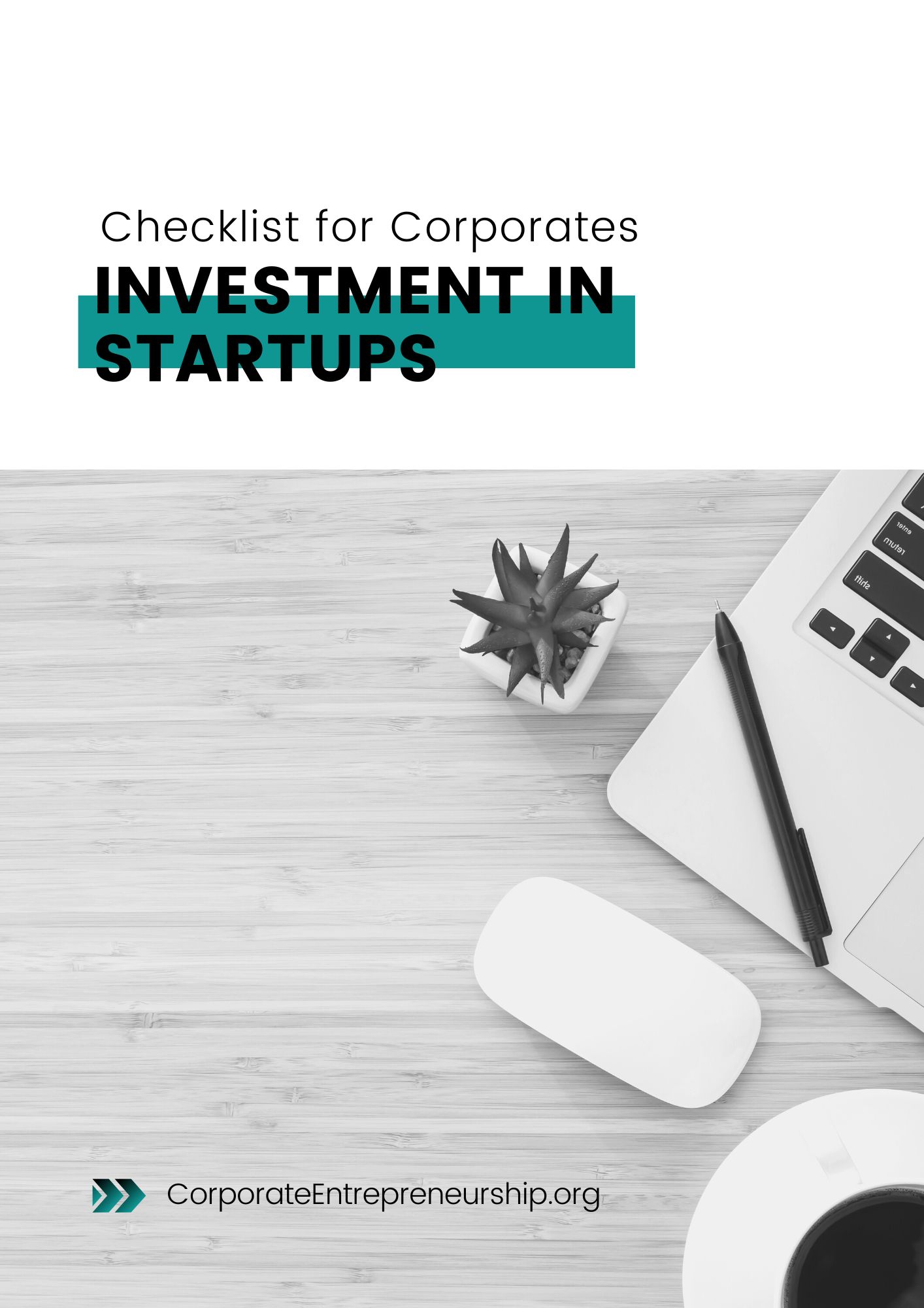 Corporate Entrepreneurship Checklist Startup Corporate